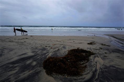 El Niño winter has started. Here's what conditions are predicted for San Diego